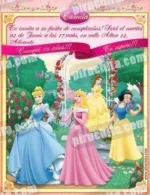 Invitación cumpleaños Princesas Disney #10-0